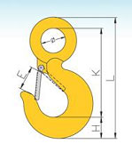 G80 Eye Hook with Latch