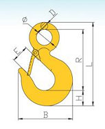 G80 Eye Hook with Latch