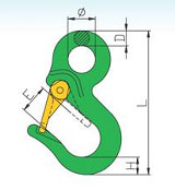 G80 Special Eye Hook with Latch