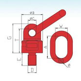 G80 Muti-Directional Using Lifting Swivel