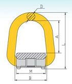 G80 D Ring with Spring